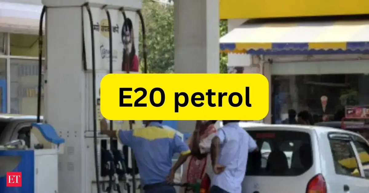 E20 petrol battle reaches court: In a first, consumer court orders manufacturer & dealer to pay repair cos
