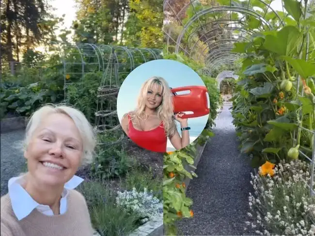 pamela anderson growing vegetables at home