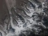 Glaciers were found moving across the Himalayas from space; scientists just uncovered a 58,500-year-old collapse hiding in the same mountains