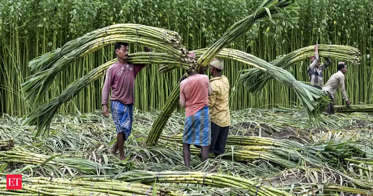 India has adequate sugar stocks, no basis for speculation: ISMA, NFCSF