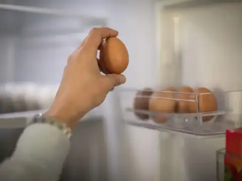 Once Refrigerated, Never Leave Eggs Out For Long