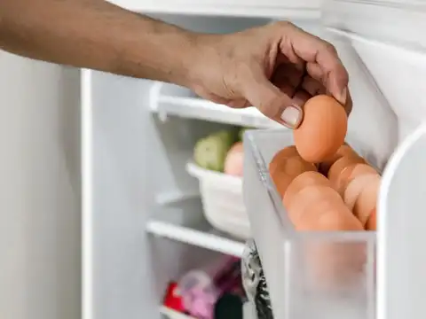 Point The Eggs With The Broad End Up