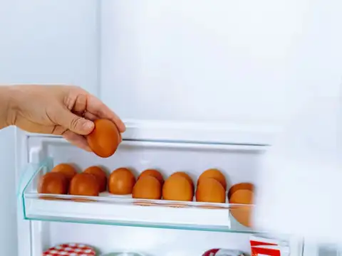 Colder Storage Actively Keeps Salmonella Out