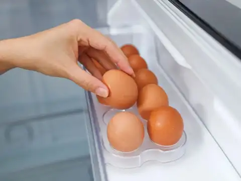 Temperature Swings Can Let Bacteria Into The Egg