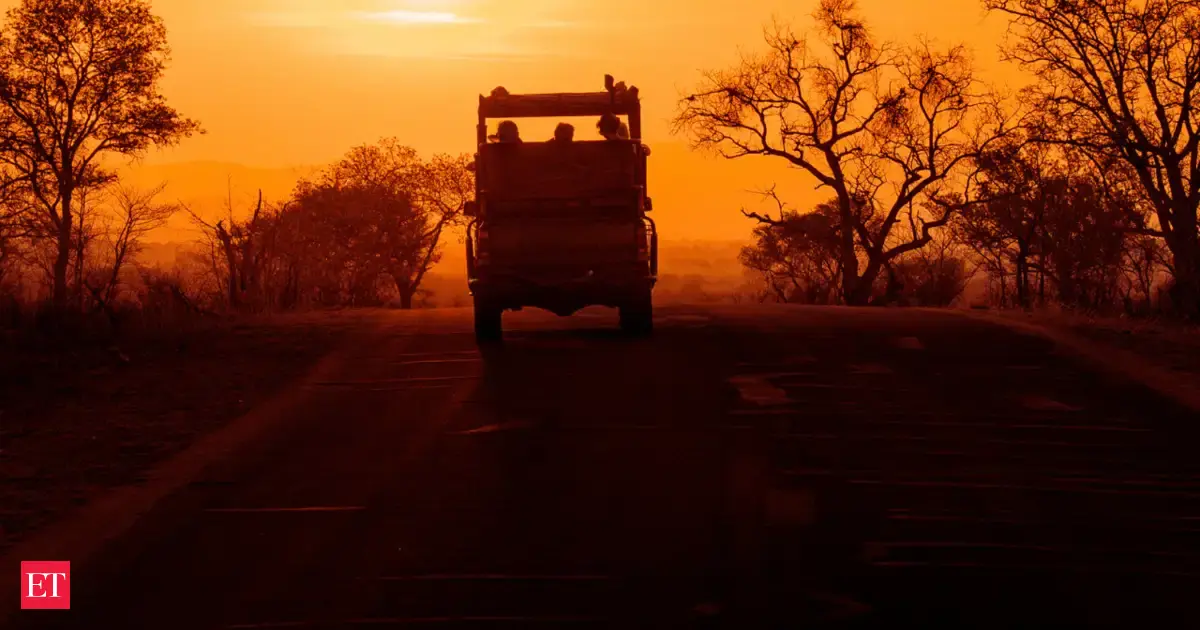 India set to get night safari soon. Check where, how to reach and what to expect