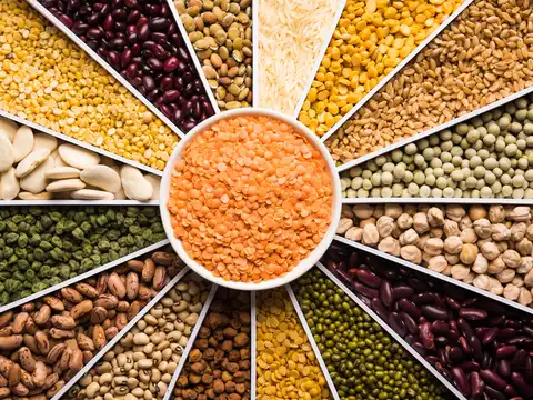 Legumes