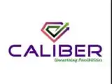 Caliber Mining & Logistics IPO Day 2: Issue gets 7.5x subscription so far; GMP points to 27% listing upside