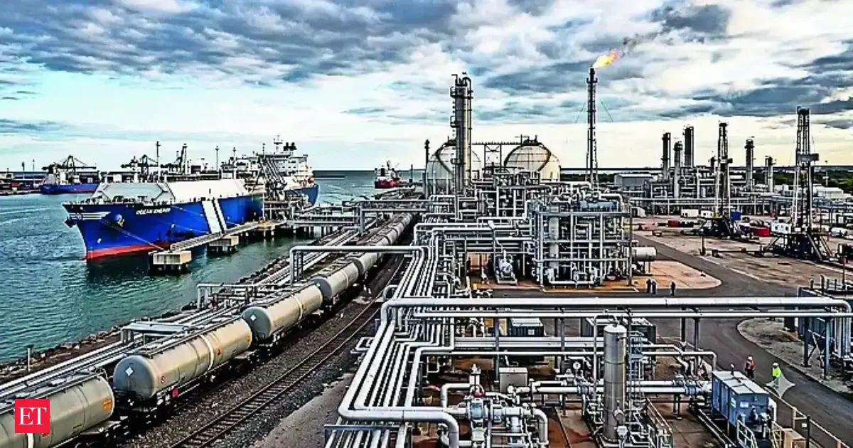 LNG consumption declines 6.5%on costly import, lower output