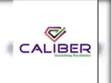 Caliber Mining & Logistics IPO subscribed 147x; GMP signals 22% listing gain