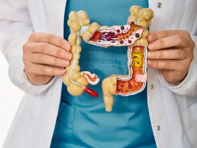 Gut health