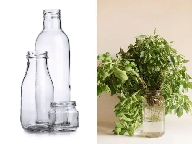 Glass jars