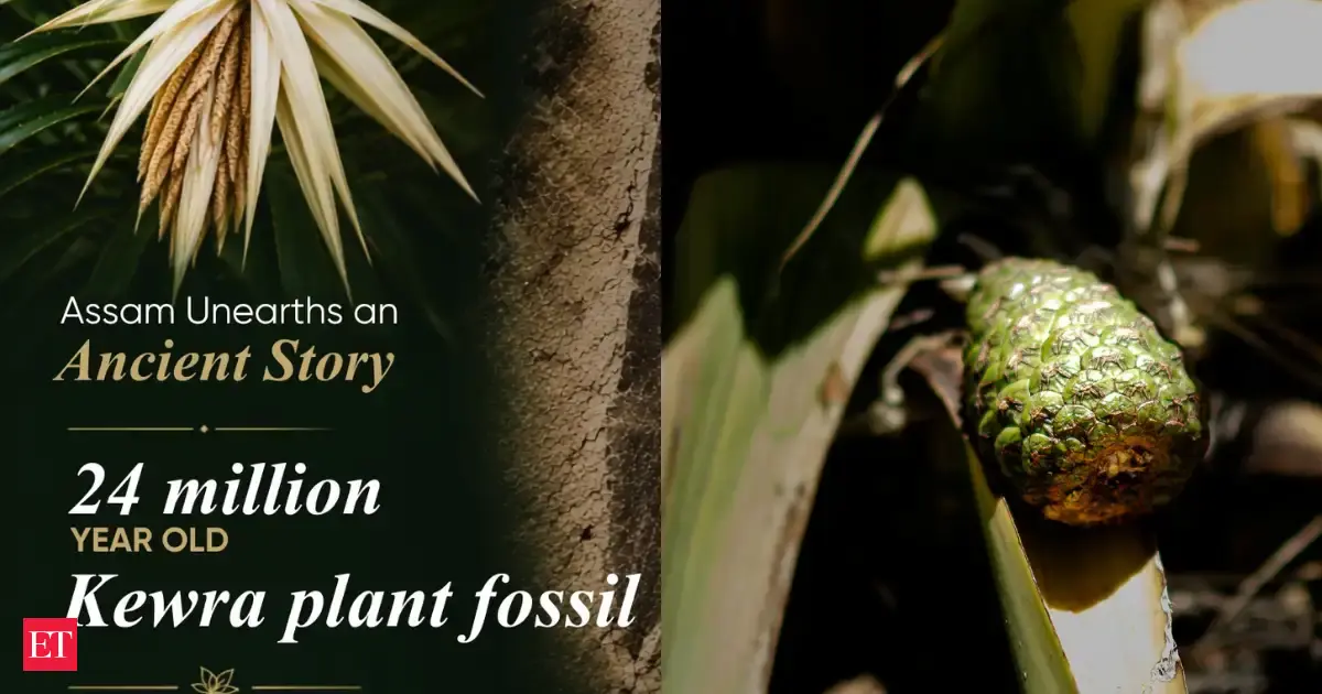 24-million-year-old Kewra fossil found in Assam: CM Sarma says it reveals how this fragrant screw-pine first reached the Indian subcontinent