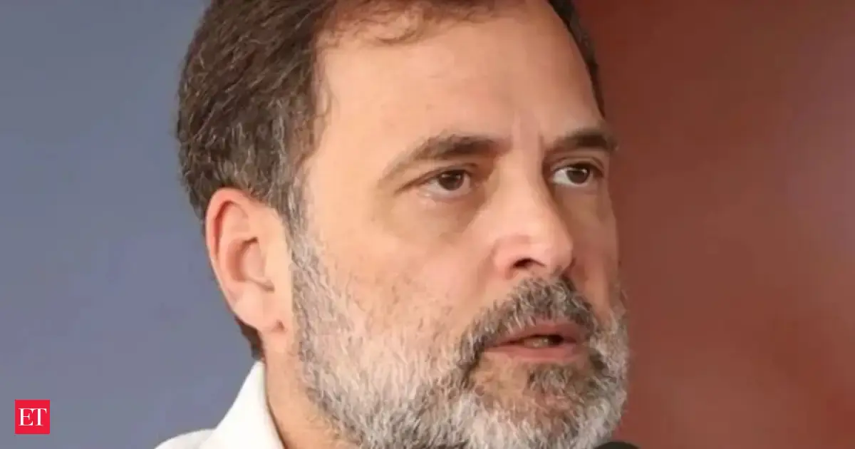 Allahabad HC says ED free to act if illegality found during probe into Rahul Gandhi's assets