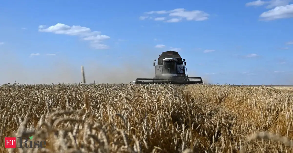 Wheat rises, near two-year high on Black Sea supply woes
