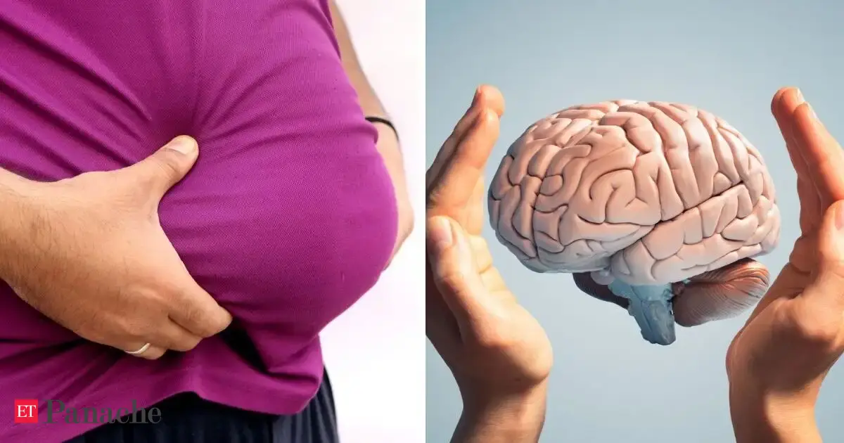 Can belly fat shrink your brain? Top neurologist explains the hidden link between visceral fat, memory loss, and dementia risk