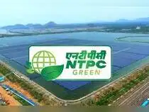 NTPC Green shares soar 9% after Q1 earnings. What’s boosting investor sentiment?