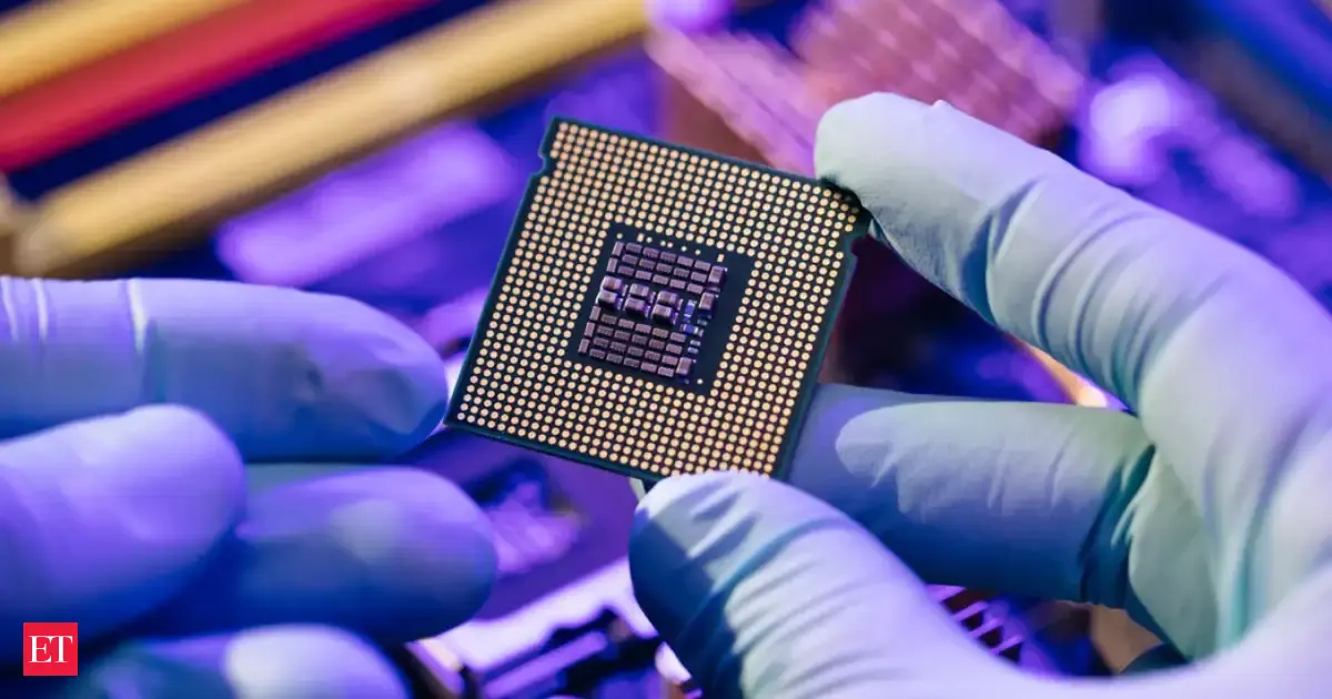 UAE eyes energy, food, semiconductor sectors for stronger investment ties with Gujarat
