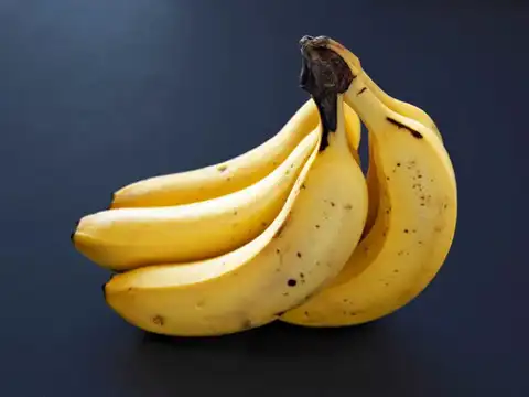 It Keeps The Stem End Moist And Intact