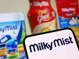 Milky Mist set to launch India's biggest dairy IPO in early August