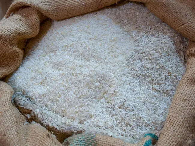 Rice