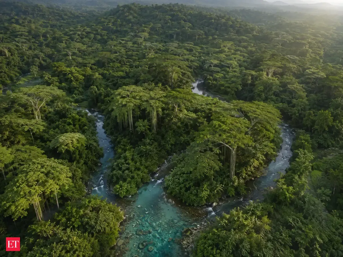 In 1996, an Indonesian farmer began planting banyan trees across barren hills, and 11,000 trees later, springs returned across 250 hectares