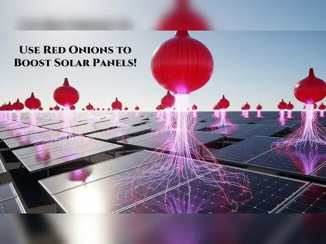Sunlight slowly damages solar panels; researchers think they have found a natural shield - a red onion