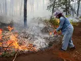 More than 250,000 people flee their homes in France and Spain as wildfires burn