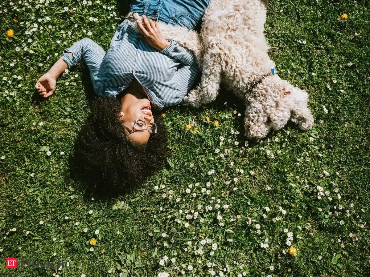 Proverb on finding happiness in daily life: ‘Being happy does not mean everything is perfect. Just that you have decided to look beyond the imperfections’
