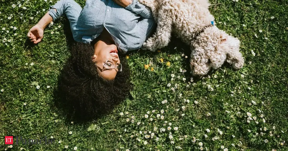 Proverb on finding happiness in daily life: 'Being happy does not mean everything is perfect. Just that you have decided to look beyond the imperfections'