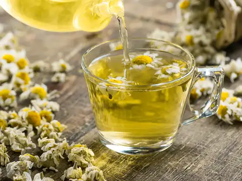 Chamomile Tea