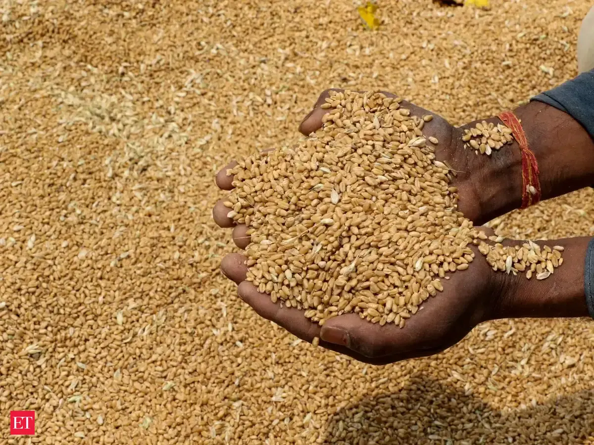 India allows 5 million tonnes of wheat exports after four-year ban amid global price surge