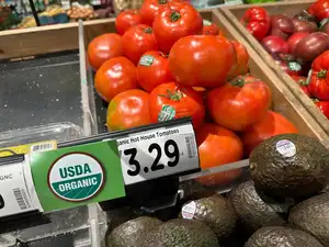 Forensic tests revealed major food brands mislabeled tomato product origins