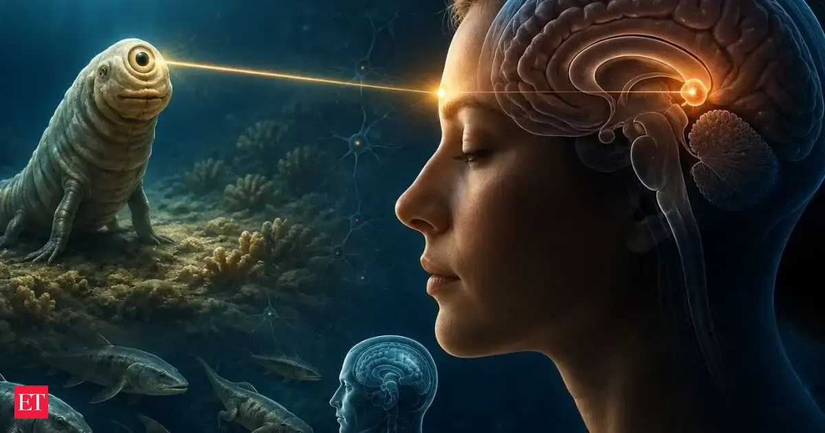 Humans have a ‘third eye’ in the brain: Study links it to a 600-million-year-old Cyclops ancestor