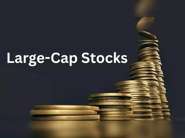 Largecap stocks