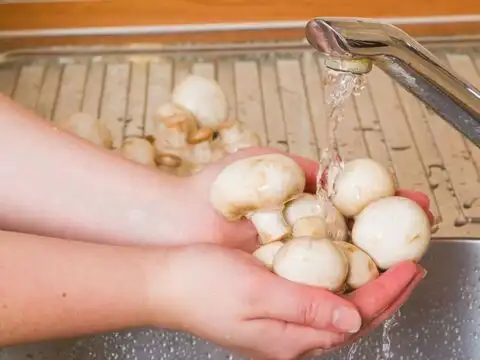 Do Not Wash Them Before Storing