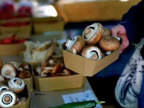 Paper Breathes, Plastic Does Not
