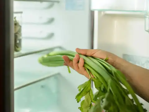 Why Location In The Fridge Matters Too