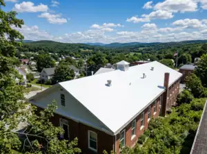 In 2010, a study suggested the coolest solution to global warming might also be the simplest; a fresh coat of white paint could help cool the planet by reflecting sunlight from urban rooftops. AI generated image