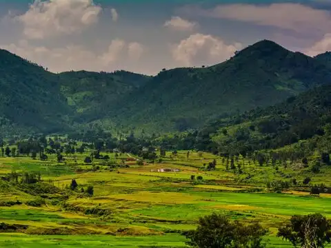 Rishi Valley School, Andhra Pradesh