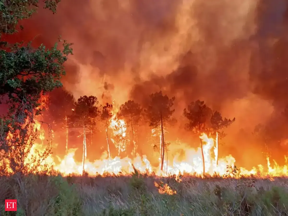 France Battles Massive Wildfire Amid Fourth Heatwave | Quick Digest