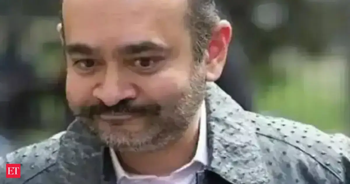 Nirav Modi's extradition to take place after completion of judicial process in UK: MEA