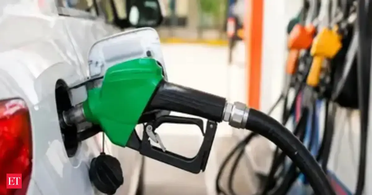 E20 petrol FAQs: Govt clarifies impact on older vehicles, mileage and warranties