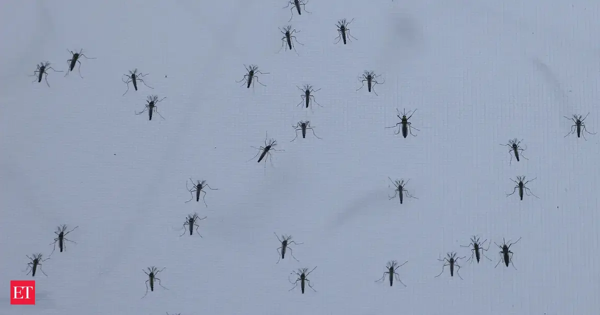 Why does Google want to release 64 million bacteria-riddled mosquitoes across California and Florida?
