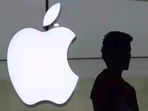 Why did Apple shares fall?