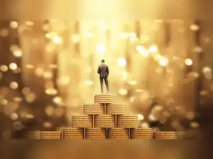 Wealth creators: 12 equity mutual funds turn Rs 1,000 SIP to nearly Rs 3 crore since their inception