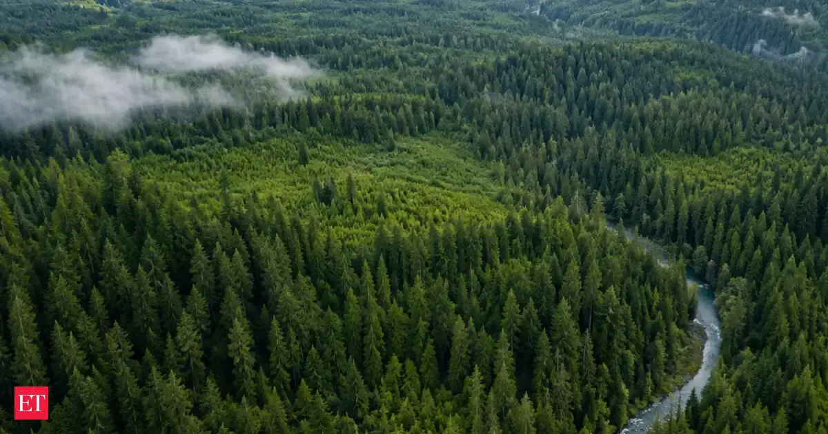 Washington forest campgrounds and trailheads are closing after ...