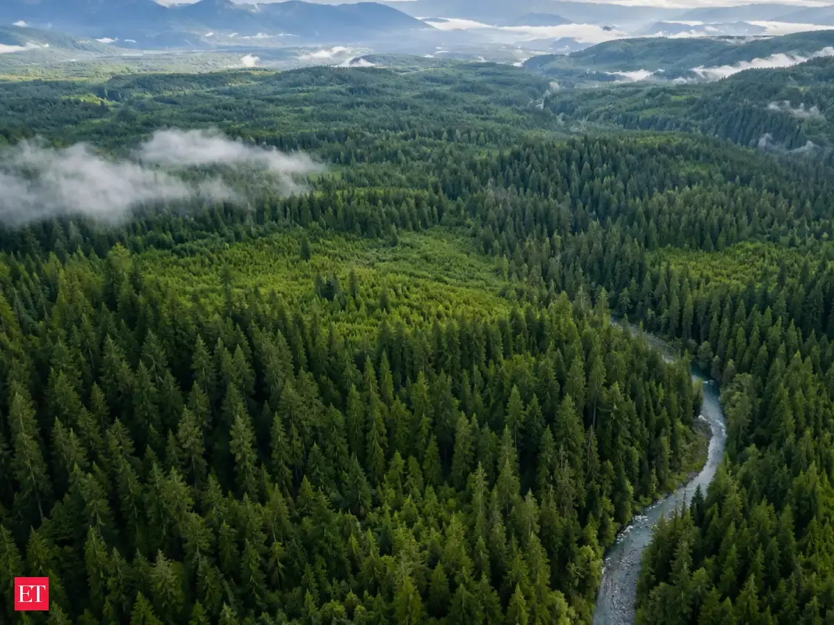 Washington forest campgrounds and trailheads are closing after ...