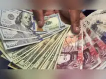 Forex reserves