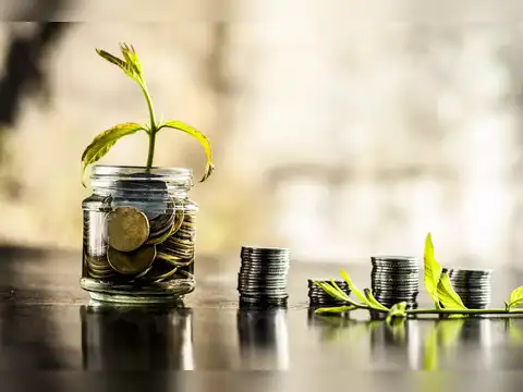 Edelweiss Mid Cap Fund