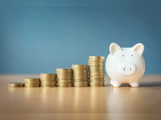 HSBC Midcap Fund